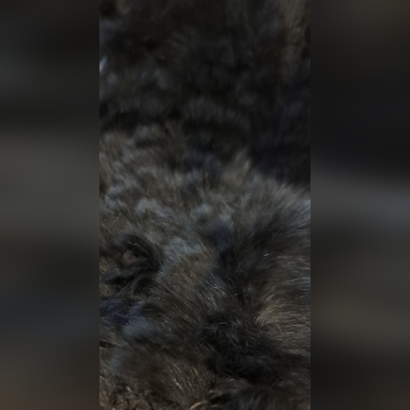 NWT Dino Gaspari Navy Rabbit Fur Embellished Elegant Formal Scarf Wrap - Picture 3 of 10